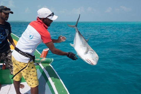 Fishing