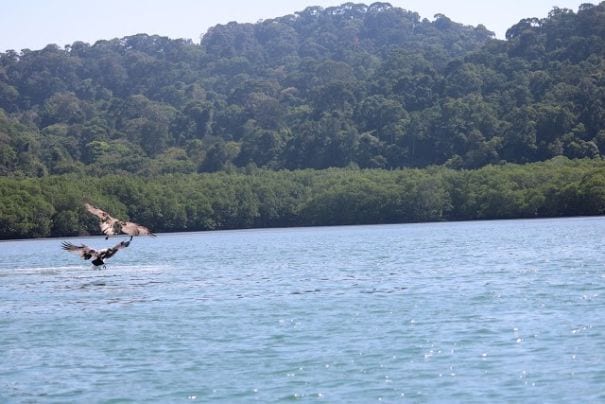 langkawi_island_hopping_4