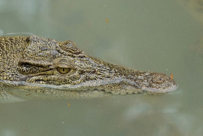 langkawi_wildlife_park_3