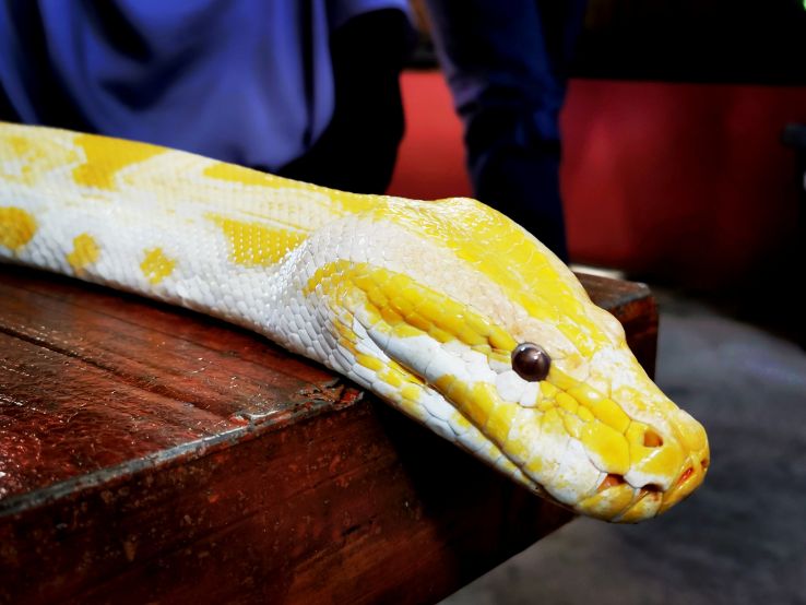 langkawi_wildlife_park_5