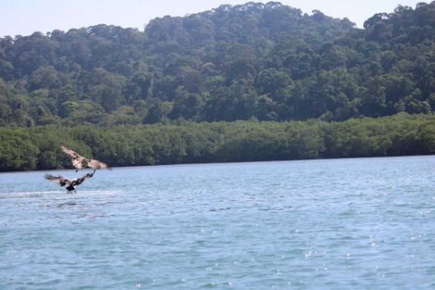 langkawi_island_hopping_4