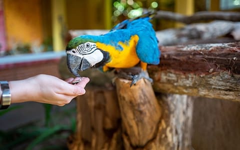 Langkawi Wildlife Park