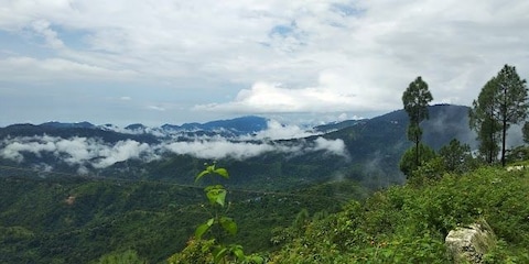 Take a Leisurely Walk to Bheem Pakora