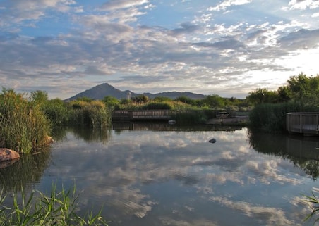 Clark County Wetlands Park