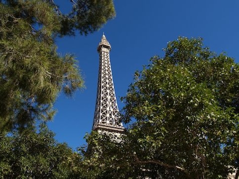 Eiffel Tower Experience