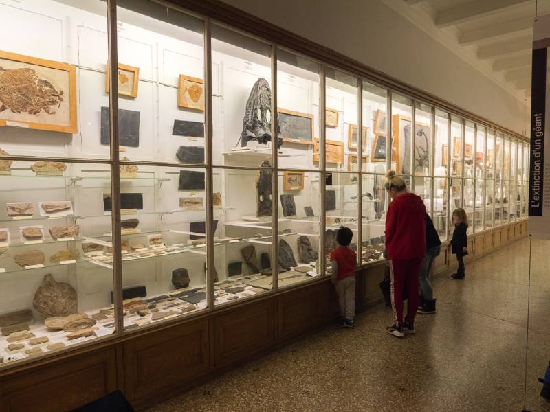 Lausanne_Natureum_departement_de_geologie_3