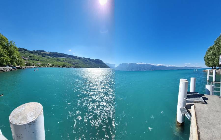 Lausanne_Terrasses_Viticoles_de_Lavaux_8
