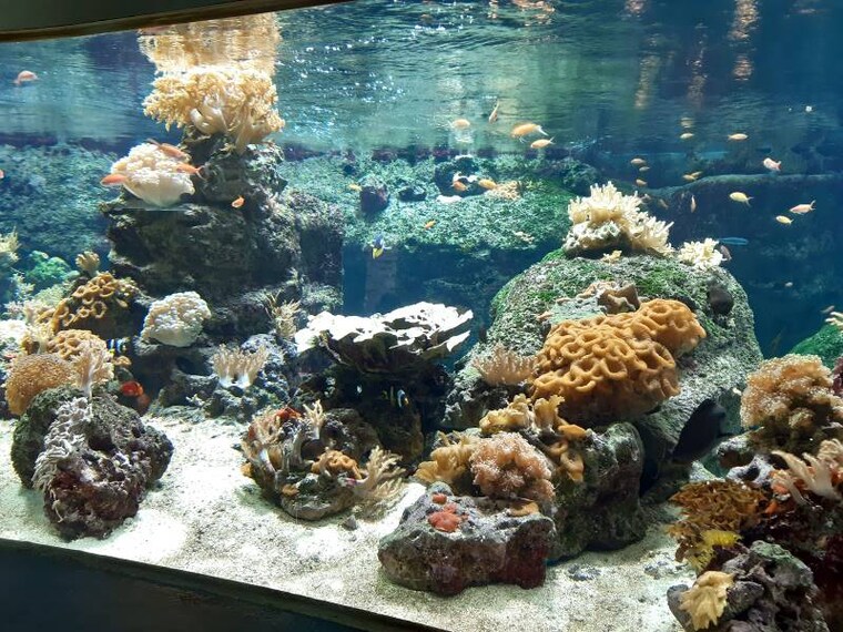 Lausanne_Aquatis_Aquarium-Vivarium_4