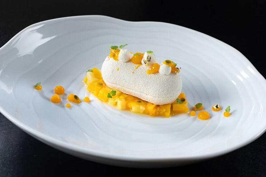 Lausanne_Cote_Jardin_3