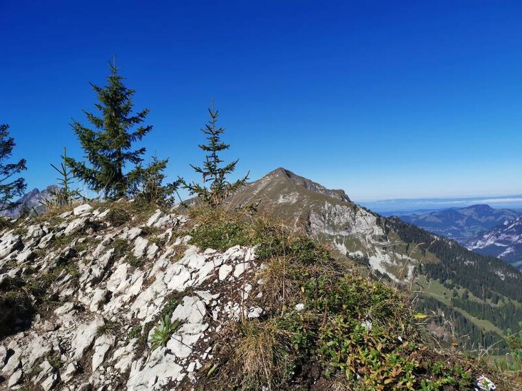 Lausanne_Hike_Gastlosen_4