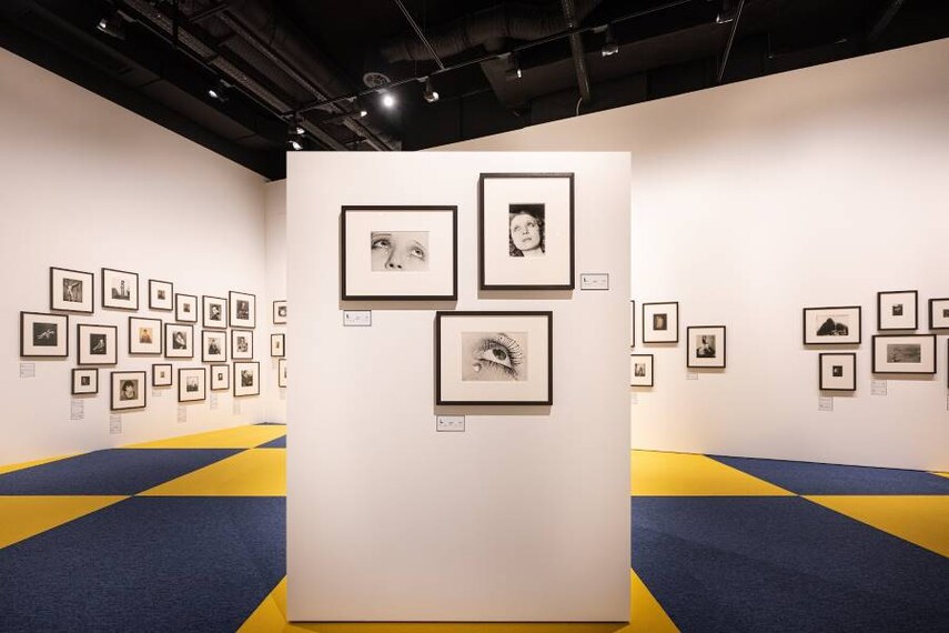 Lausanne_Musee_de_l_Elysee_5