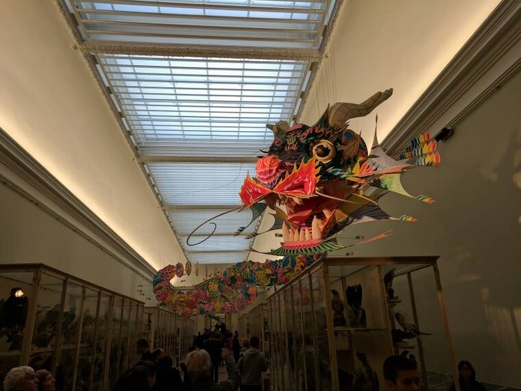 Lausanne_Palais_de_Rumine_10