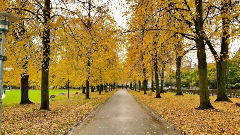 Lausanne_Parc_de_Milan_4