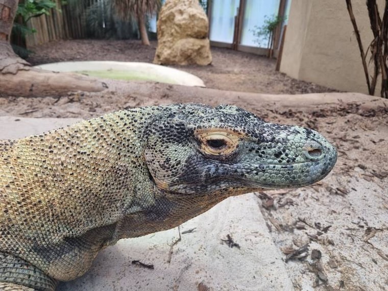 Lausanne_Servion_Zoo_2