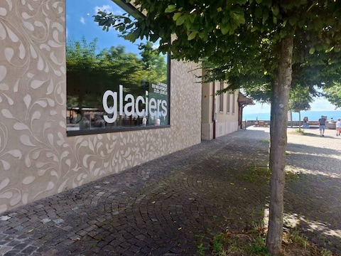 Lausanne History Museum