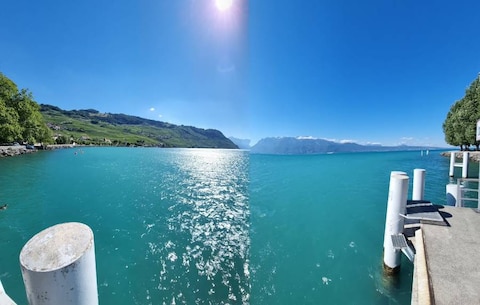 Terrasses Viticoles de Lavaux