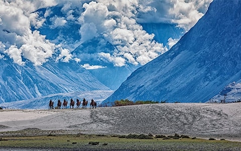 Nubra Valley, Leh