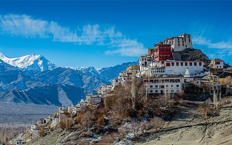 Attend Morning Prayer at the Thiksey Monastery