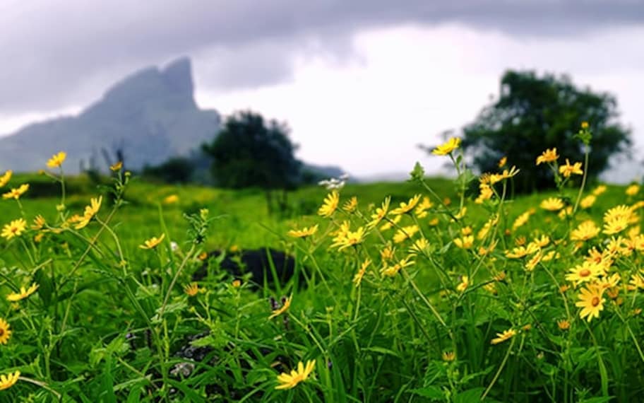 Lonavala Khandala Dukes Nose Landscape Image