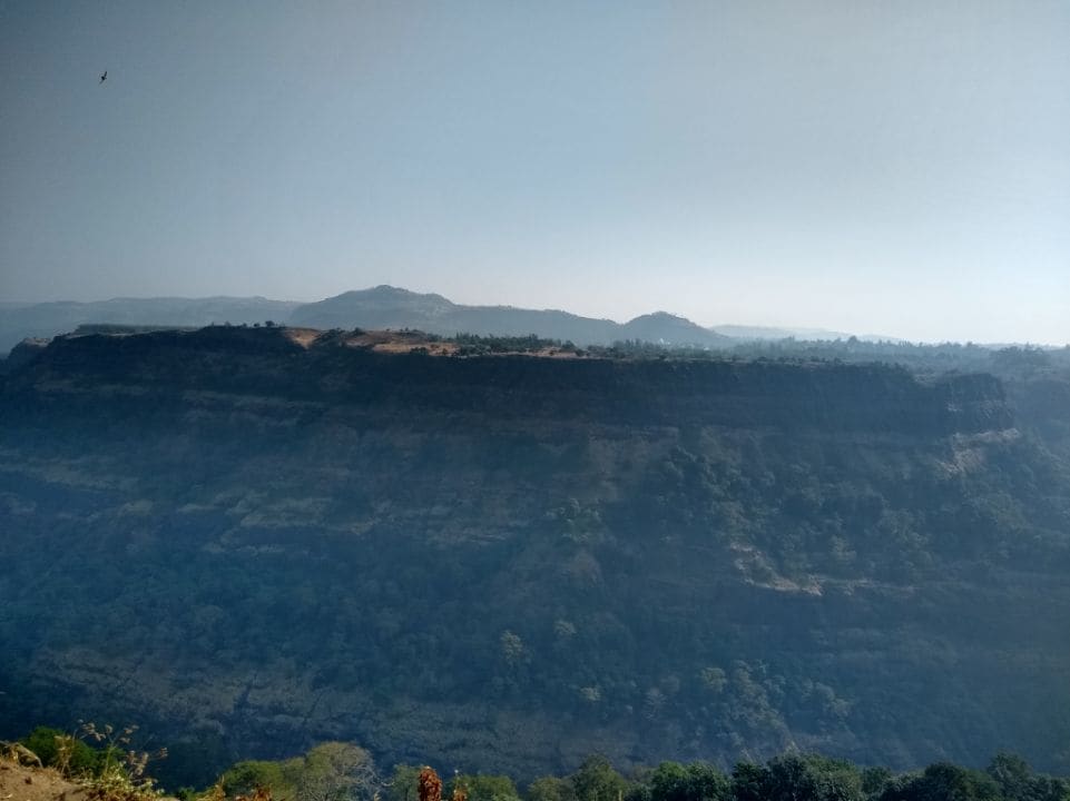 tiger_s_point_4