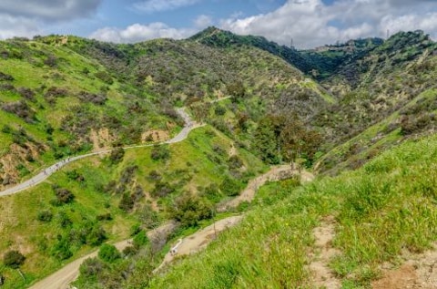 Explore the Runyon Canyon Park