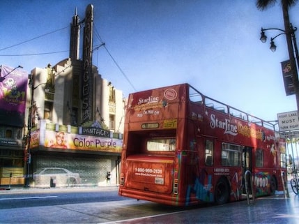 Go for a Hop-On, Hop-Off Tour