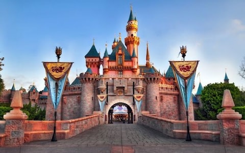 Have Fun at the Disneyland