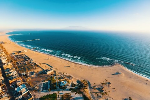 Roam Around the Venice Beach