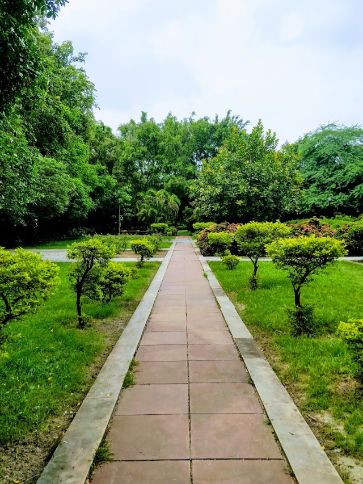 Lucknow Dr Ram Manohar Lohiya Park Portrait Image