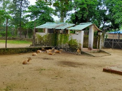 Go picnicking in Deer Park