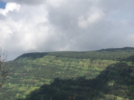 Bird Watching at Babington