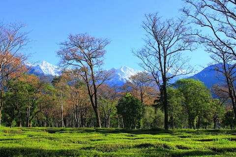 Image from popular destination Kangra - Mesmerising Hill Station in Himachal
