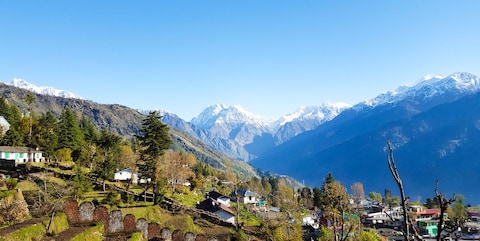 Image from popular destination Kausani - Breathe in the Himalayan Magic