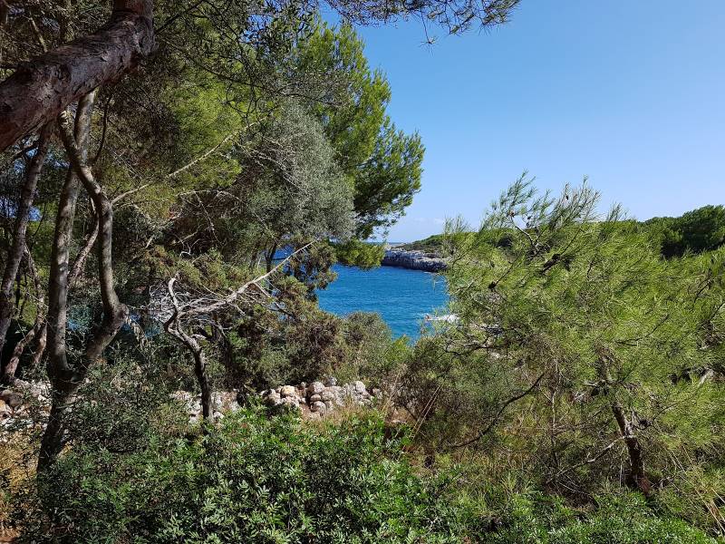 Majorca_Cala_Sa_Nau_5
