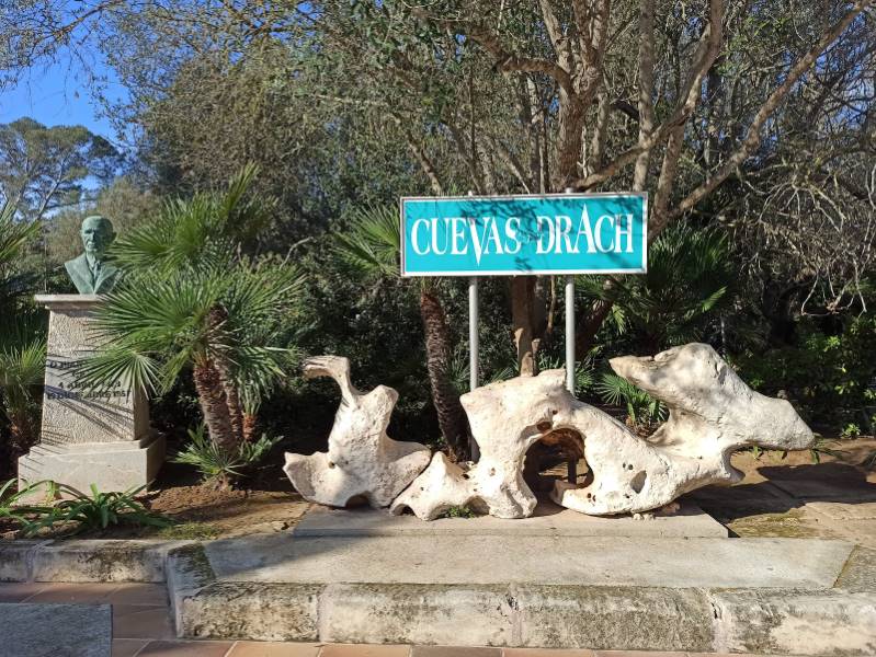 Majorca_Cave_Tour_4