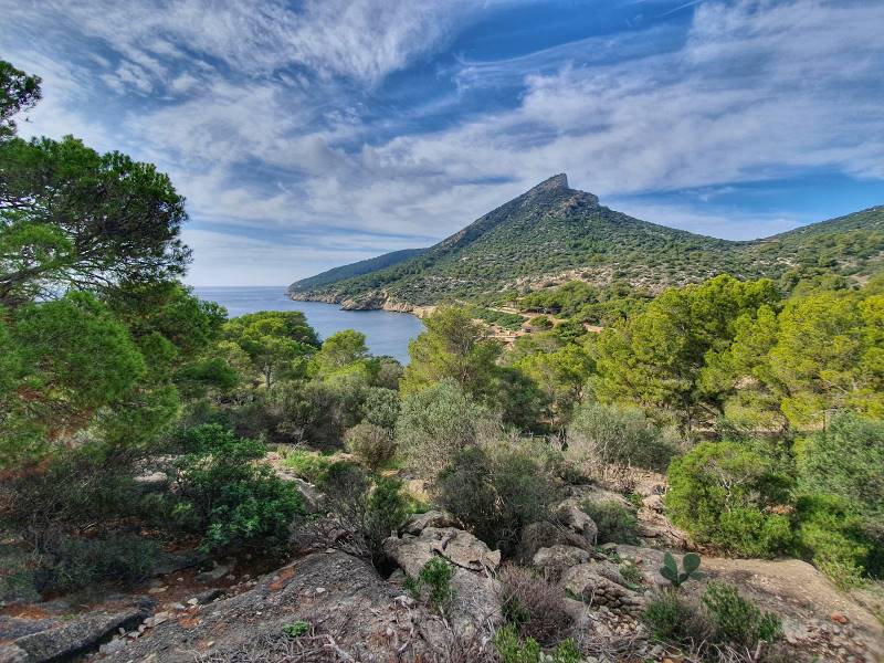 Majorca_Dragonera_Island_3