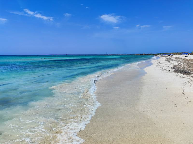 Majorca_Es_Trenc_7