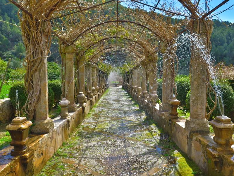 Majorca_Gardens_of_Alfabia_2