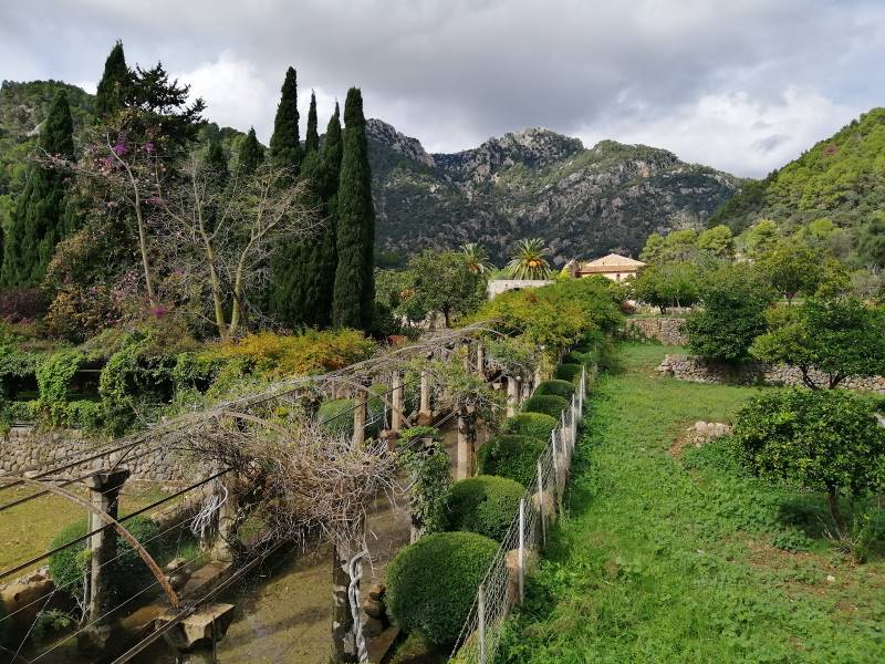 Majorca_Gardens_of_Alfabia_9