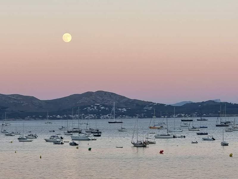 Majorca_Playa_de_Port_Pollensa_5