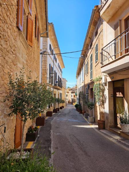 Majorca_Verdeteja_6