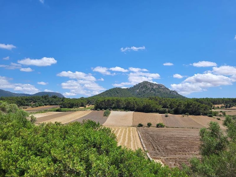 Majorca_Quad_Biking_Excursion_7