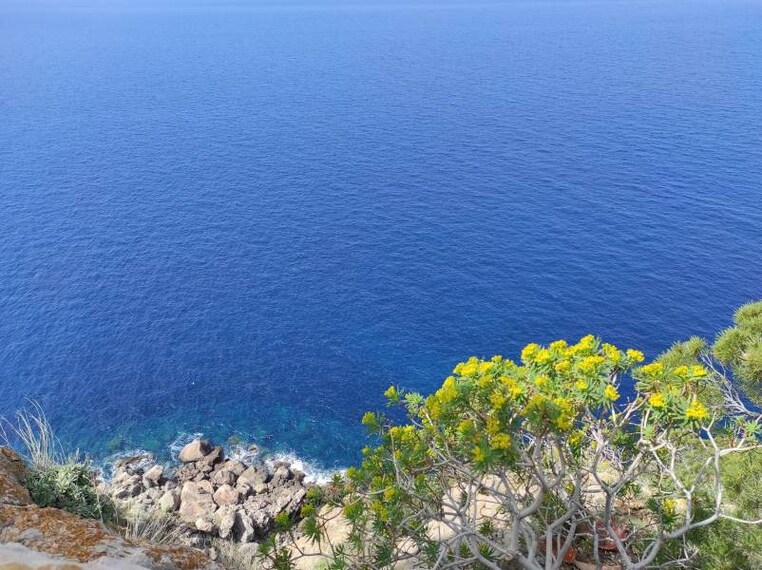 Majorca_Torre_del_Verger_5