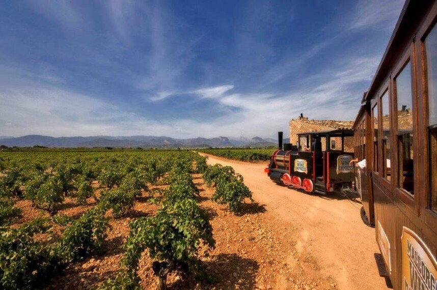 Majorca_Wine_Tasting_Tour_3