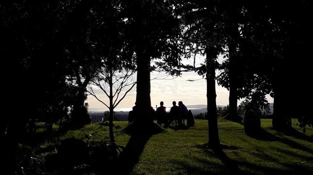 Majorca_Wine_Tasting_Tour_7