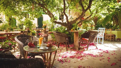 Temple Natura Cafe Garden