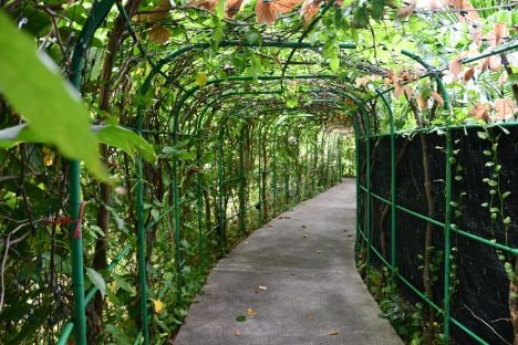 maldives_sultan_park_1