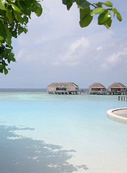 Thani Maldives Portrait Image