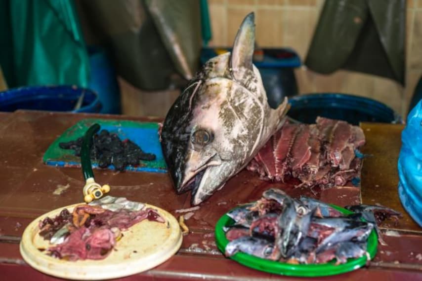 maldives_male_fish_market_2