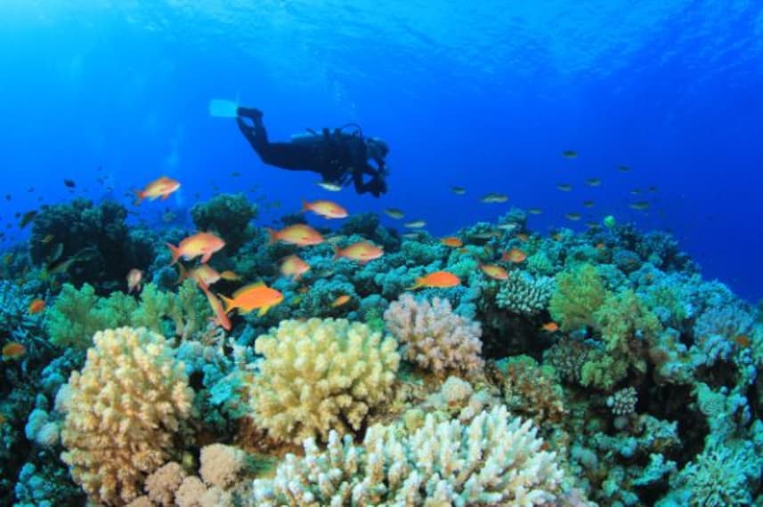 maldives_scuba_diving_1
